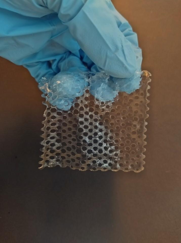Impresio n 3D de andamios de hidrogeles de doble red con miel y nanola minas multifuncionales.